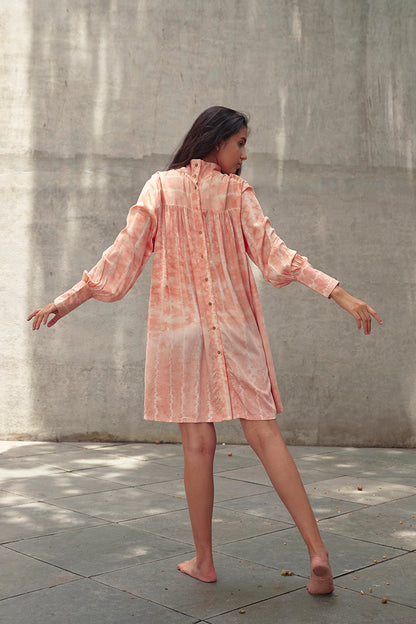 Lotus Funnel Neck Short Dress